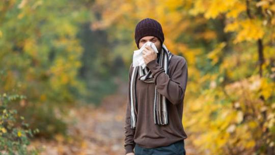 Man Sneezing in the Fall