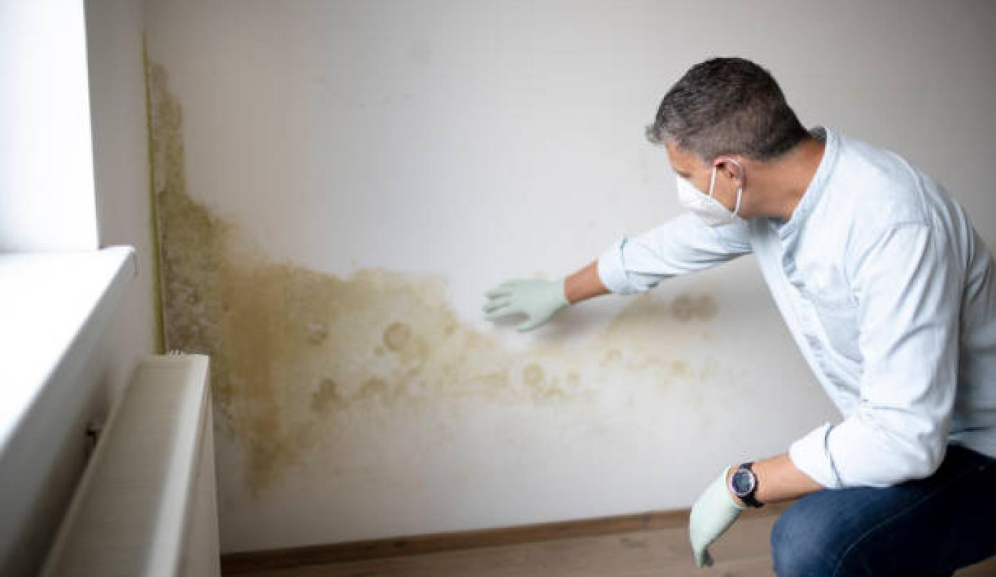 Mold Exposure