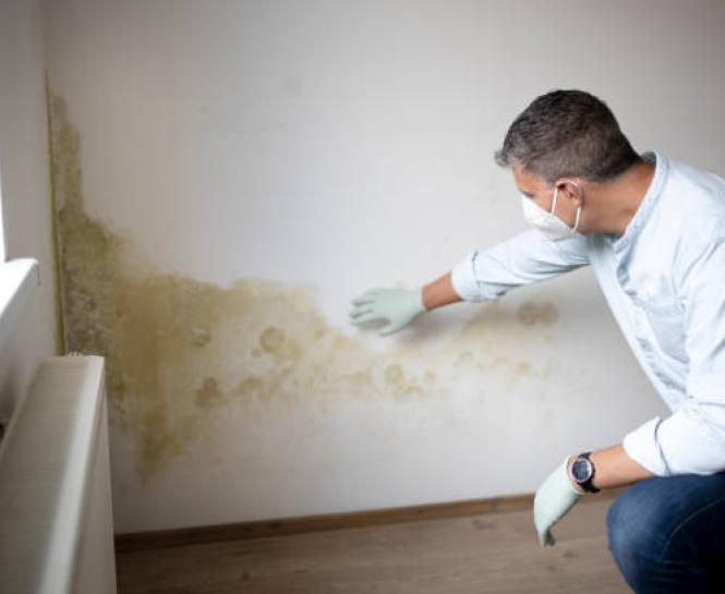 Mold Exposure