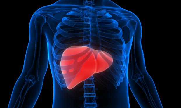 Fatty Liver Disease Program